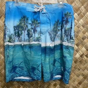 Hollister Ocean Beach Palm Trees Board Shorts